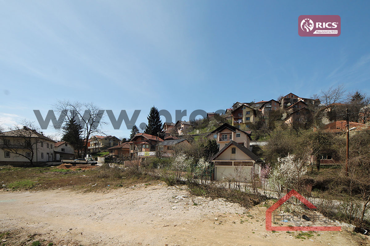 12 Pogled