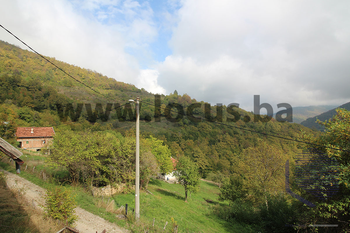15_--pogled