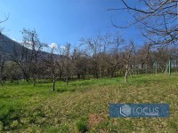 10_ Parcela
