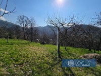 11_ Parcela