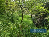 13_ Dvorište